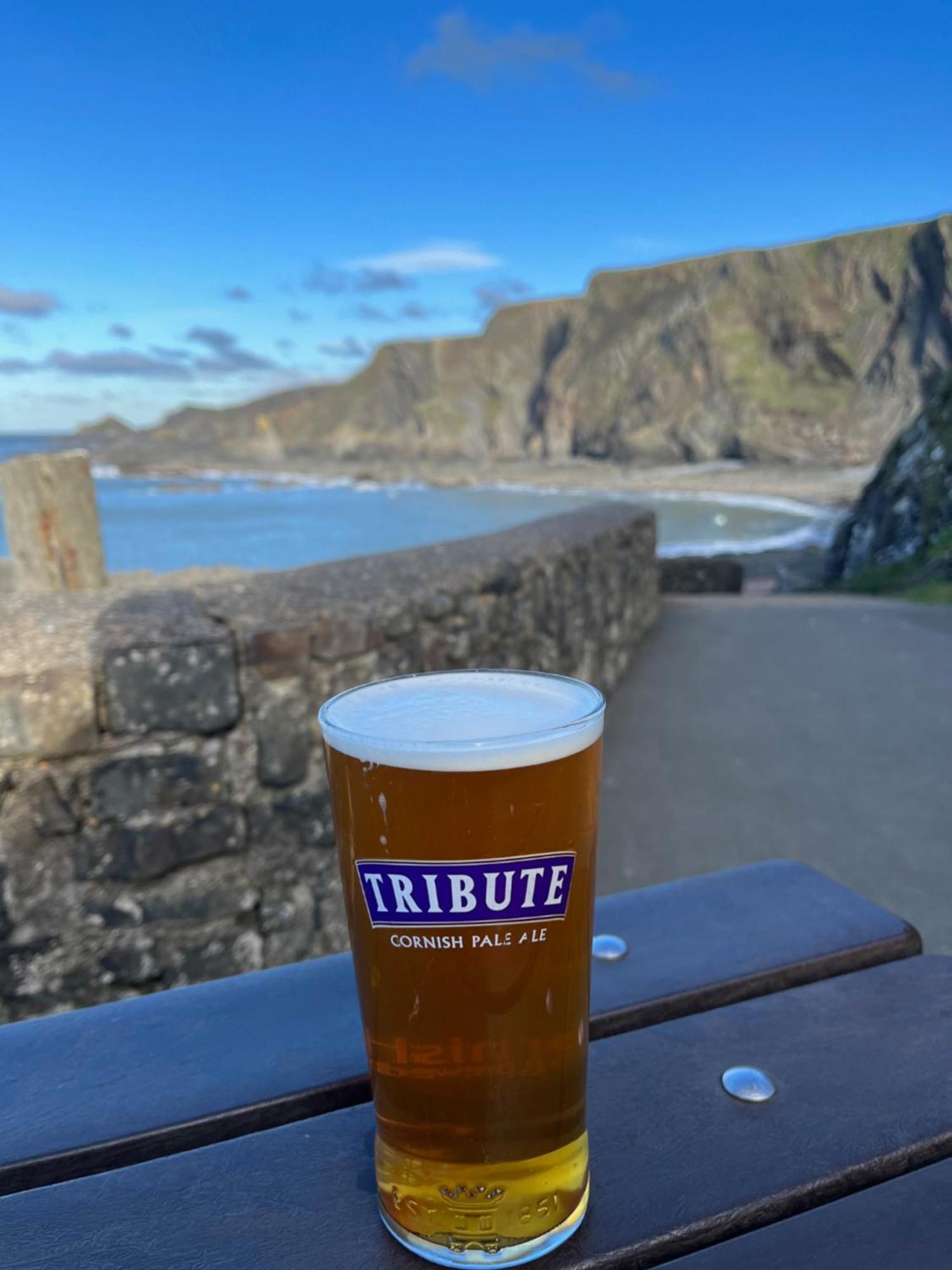 Hartland Quay Hotel Exteriér fotografie