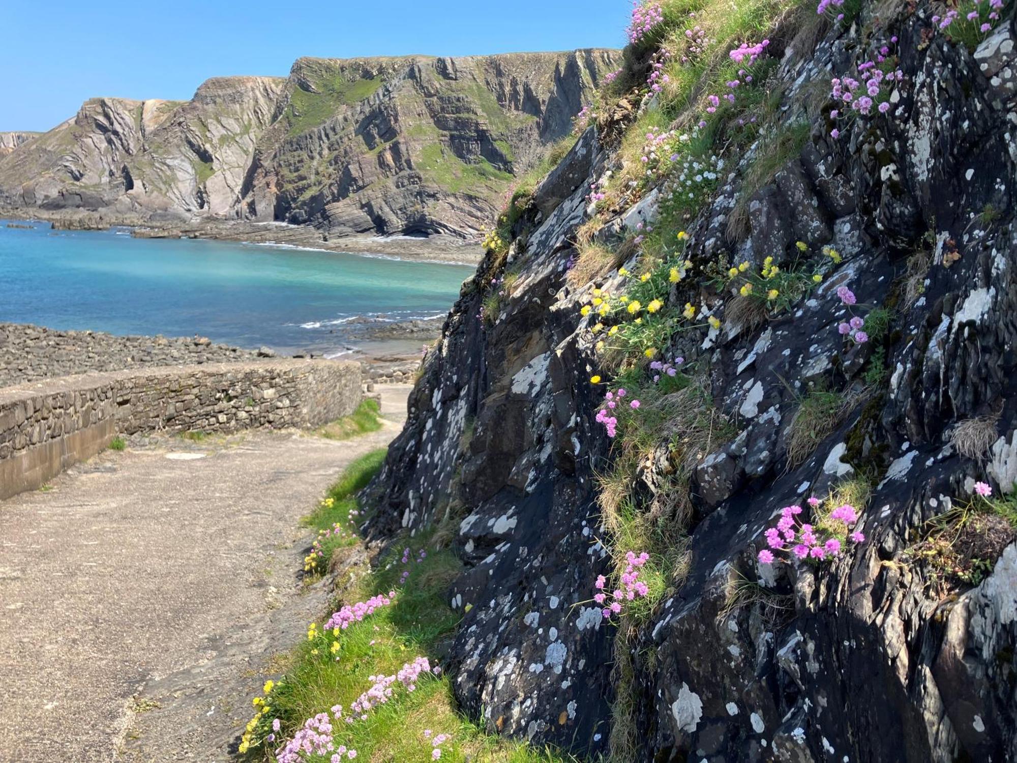 Hartland Quay Hotel Exteriér fotografie