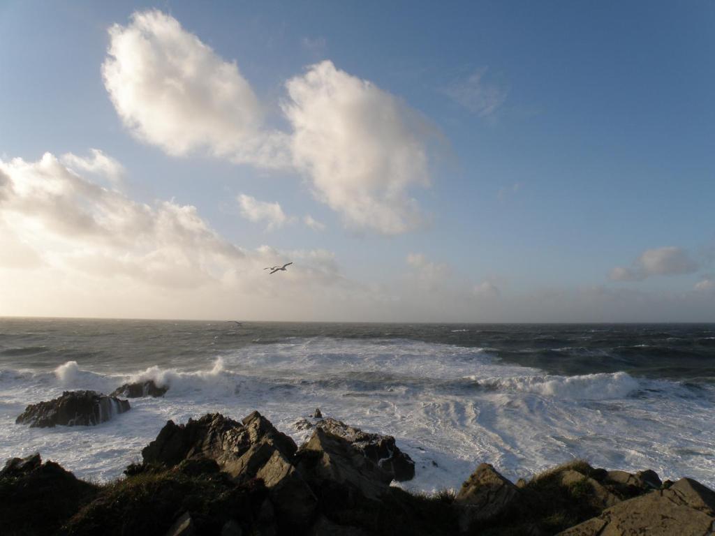 Hartland Quay Hotel Pokoj fotografie