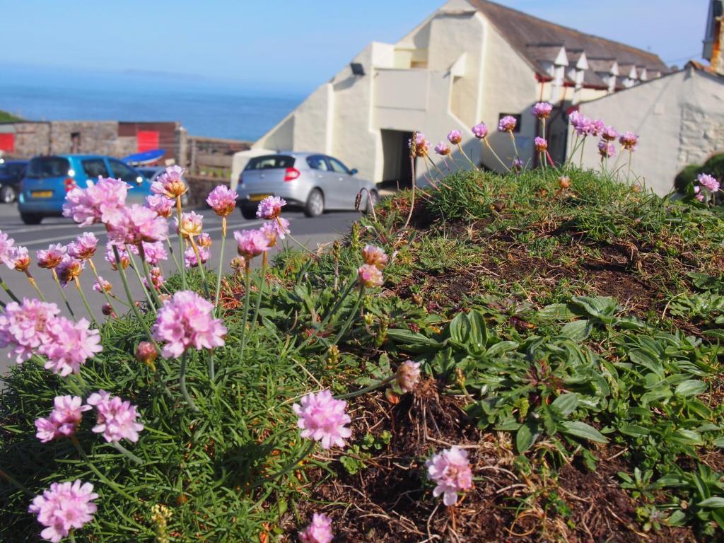 Hartland Quay Hotel Pokoj fotografie